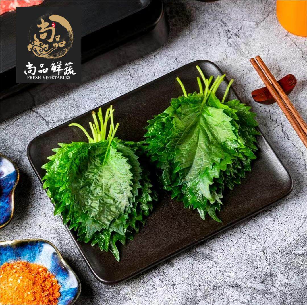 上海新鲜紫苏叶带枝紫苏叶烧烤包肉去腥提香现摘现发虾蟹调料500g