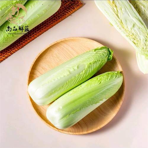 宁夏龙芽白菜鲜中带甜清甜多汁