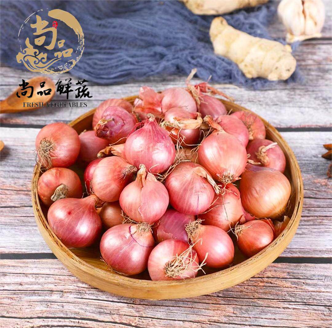 新鲜蔬菜小洋葱带皮干葱头毛葱鬼子葱珍珠洋葱西餐香料500g包邮