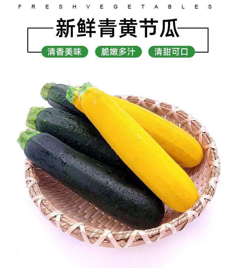 上海新鲜蔬菜青黄节瓜 青节瓜 黄节瓜夏南瓜西葫芦产地直销500g