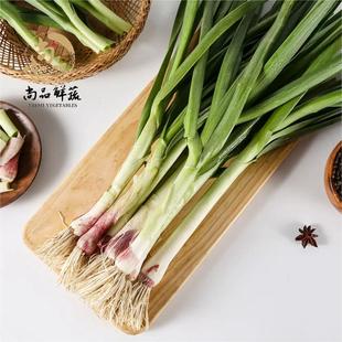 新鲜上海青浦青蒜现摘现拔大蒜苗青蒜苗鲜嫩脆香味道浓郁 回锅肉