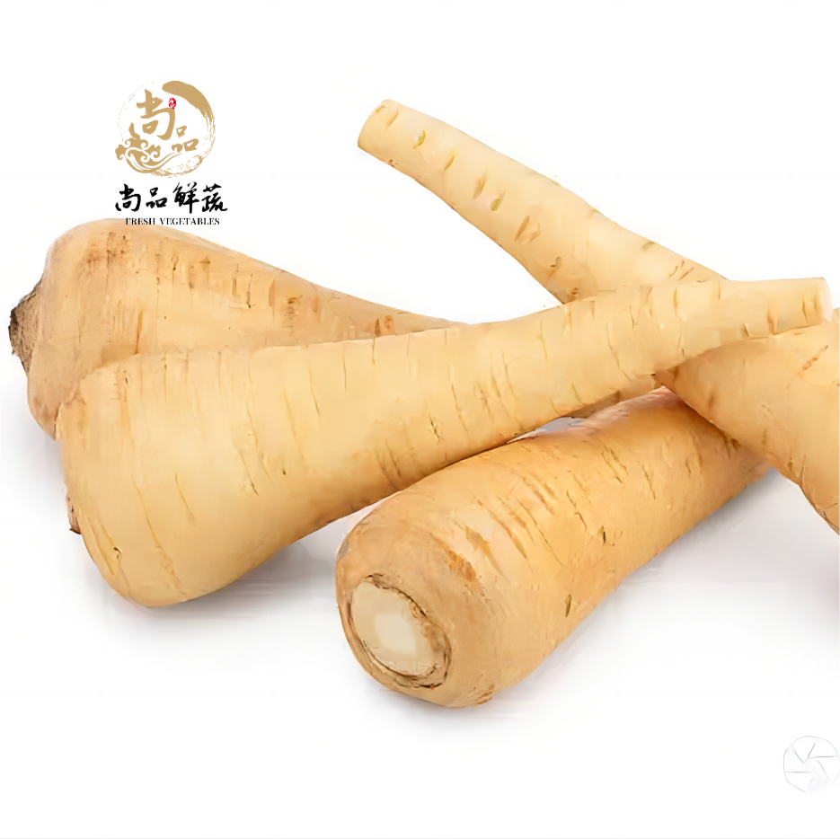 新鲜欧洲防风根欧洲萝卜蒲芹菜萝卜500g法国西餐烘焙食用产地直销