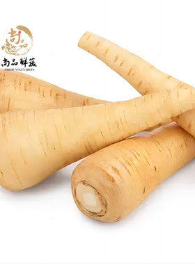 欧洲防风根蒲芹菜萝卜烘焙食用