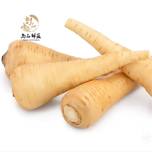 新鲜欧洲防风根欧洲萝卜蒲芹菜萝卜500g法国西餐烘焙食用产地直销