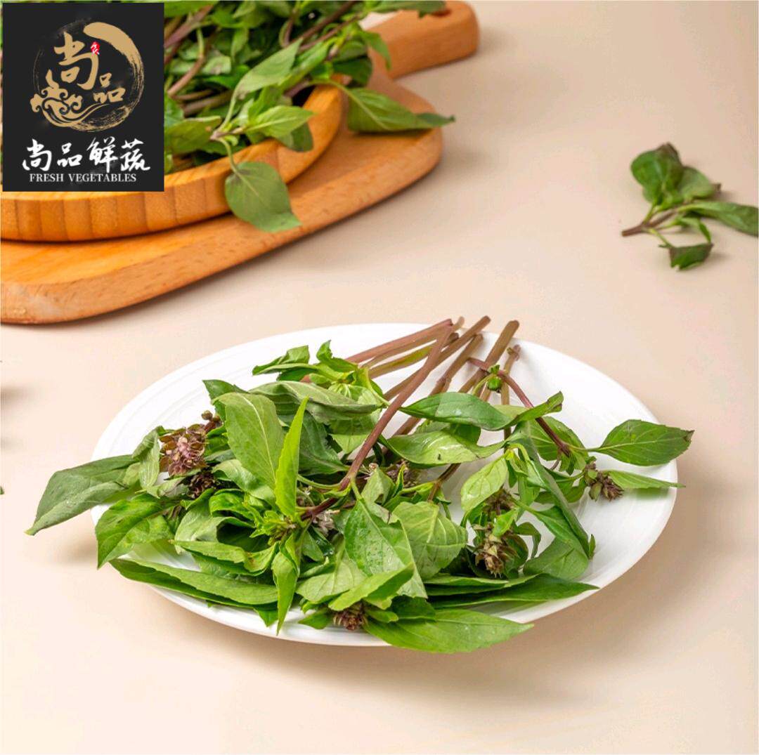上海九层塔新鲜食用香料调料九层塔罗勒叶冬阴功汤台湾三杯鸡500g