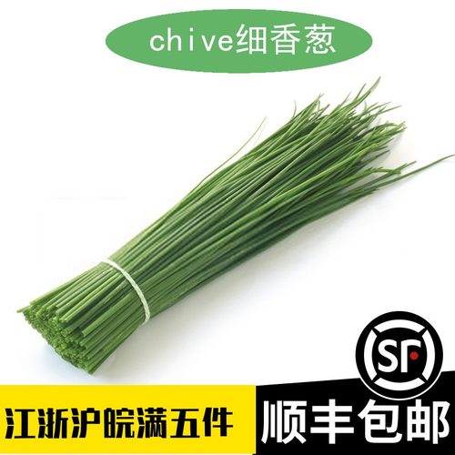 新鲜细香葱欧洲法葱西餐调味料理