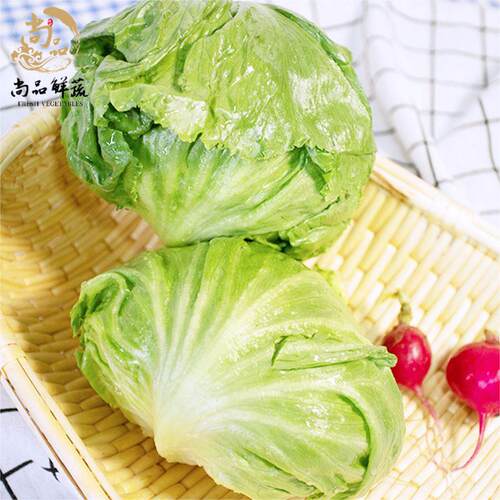 包心球生菜汉堡生菜蔬菜沙拉
