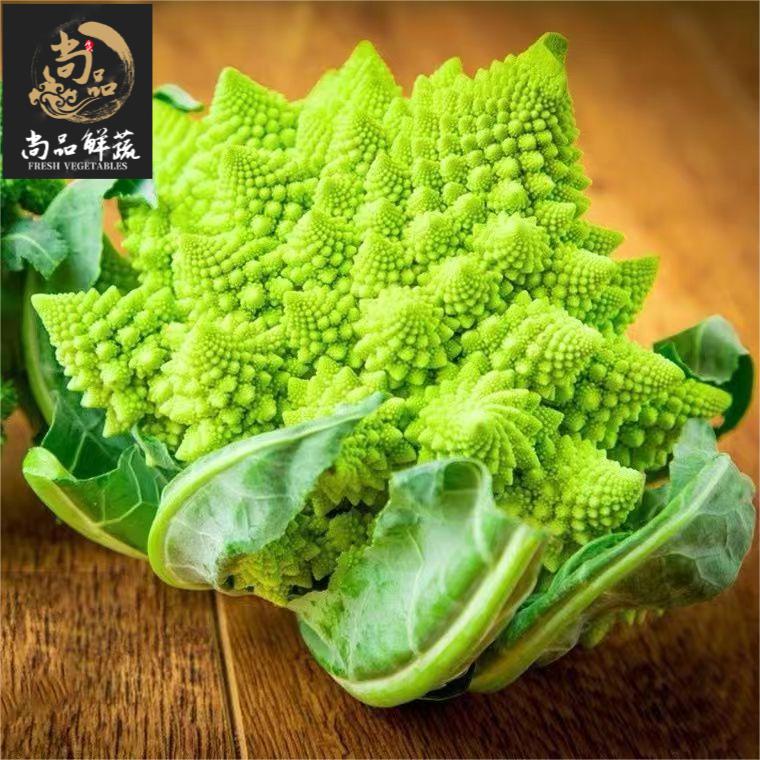 宝塔花菜罗马花椰菜佛头菜