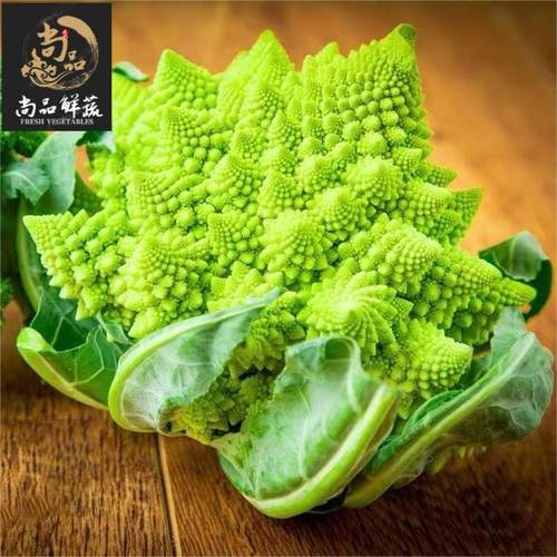 宝塔花菜罗马花椰菜佛头菜