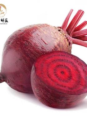 甜菜根新鲜红菜头beetroot紫菜头红甜菜产地直销榨汁酵素5件包邮
