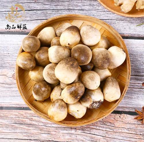 新鲜草菇滑嫩脆爽非干货
