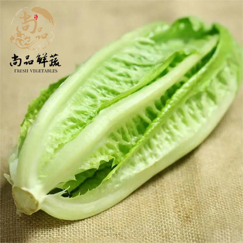 新鲜蔬菜包心罗马生菜 包罗马绿 蔬菜沙拉菜 500g 江浙沪5件包邮,水产肉类/新鲜蔬果/熟食,其它,淘宝优惠券,粉丝福利购,淘宝优惠卷