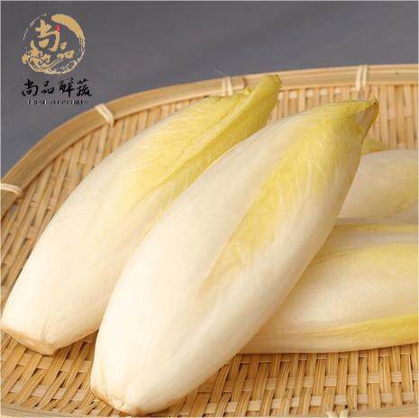 新鲜玉兰菜比利时生菜金玉兰