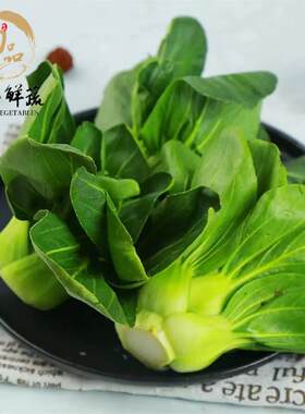 崇明上海青矮脚青菜细嫩清甜