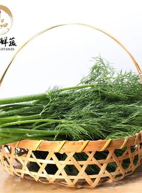 新鲜莳萝草刁草洋茴香正宗香料莳萝Dill250g香草西餐香料水产调味