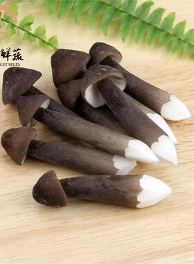 鸡枞菇新鲜云南黑皮鸡枞菌黑鸡棕菌 新鲜菌菇满5件包邮野生鸡枞菇