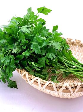 欧芹新鲜蔬菜Parsley Italian香芹荷兰芹意大利芹250g任搭5件包邮