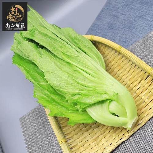 水东芥菜卷心芥菜腌制泡菜酸菜