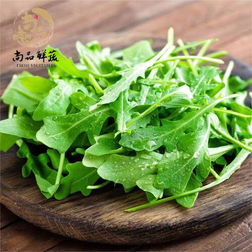 新鲜芝麻菜火箭菜蔬菜沙拉西餐