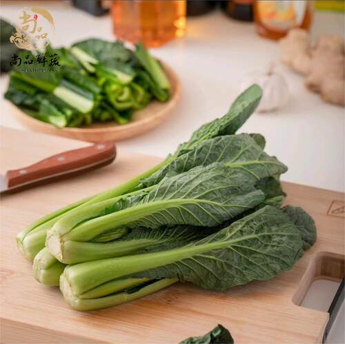 新鲜蔬菜春菜宁夏供港清甜无渣