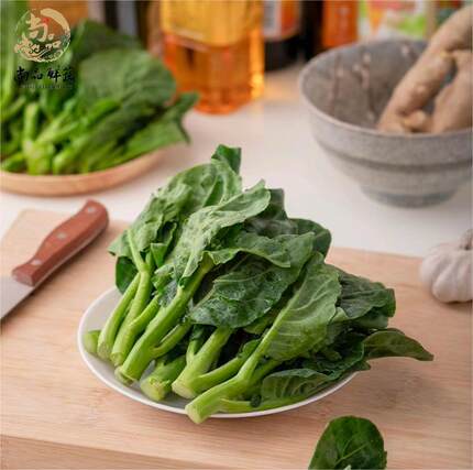 芥兰新鲜蔬菜中花芥兰小芥兰宁夏供港品质保证芥兰苗食用粤菜食材