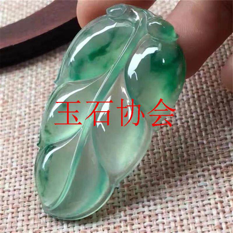 缅甸冰种飘花翡翠色树叶吊坠叶子挂件玻璃种阳绿金枝玉叶锁骨项链