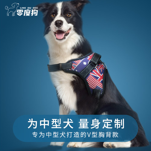 零度狗中型犬狗狗牵引边牧柯基