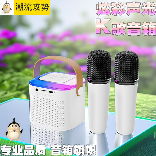 家用套装便携麦克风音箱