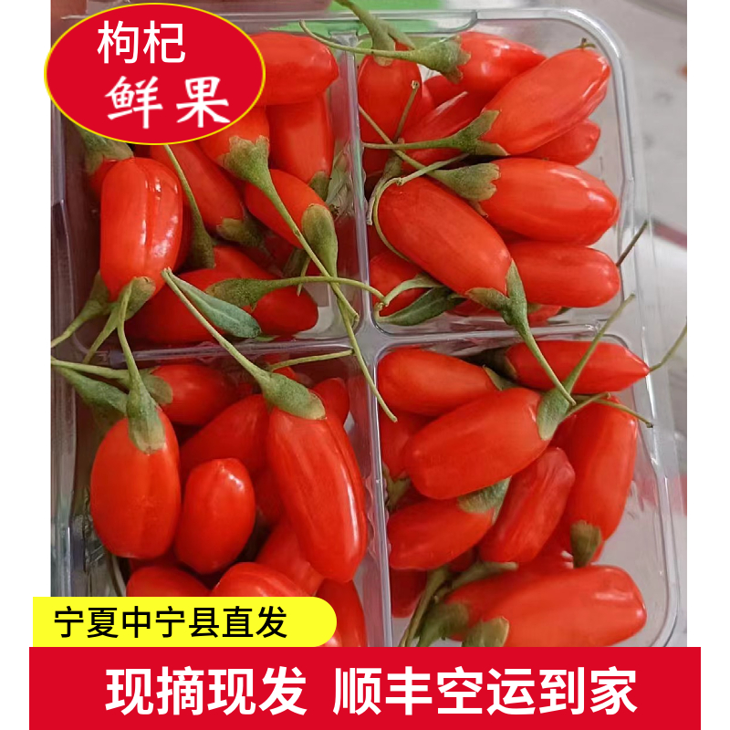 宁夏中宁新鲜枸杞果新货枸杞顺丰空运包邮冷链发货产地直供口感好