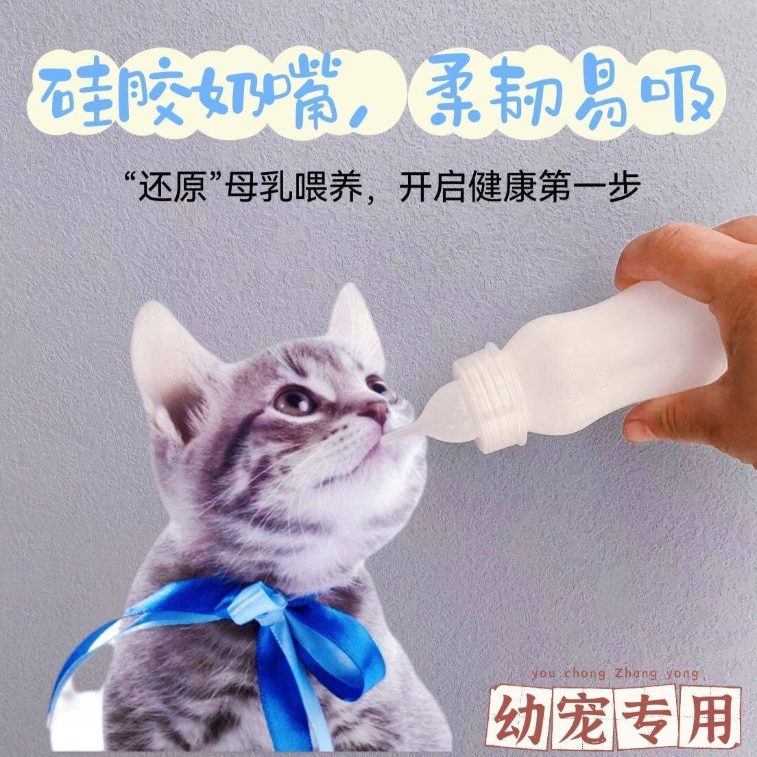 宠物奶瓶小猫小狗刚出生喂幼猫幼图片