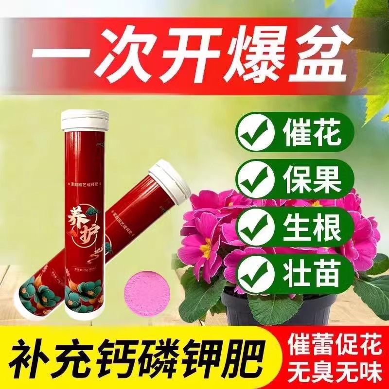 植物营养片通用型家庭园艺缓释肥