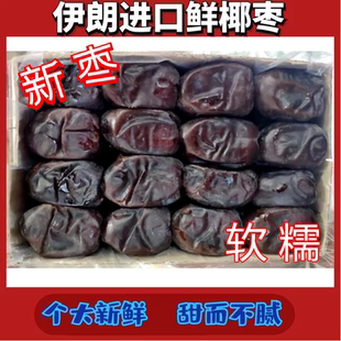 iran 伊朗進(jìn)口黑椰棗 dates NATURAL盒裝 新鮮椰棗 面包棗特產(chǎn)零食