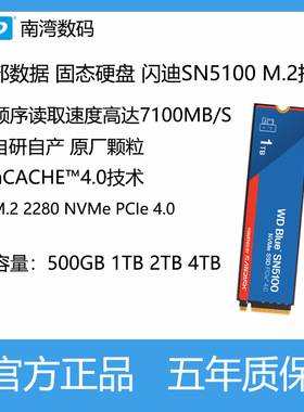 西部数据固态硬盘蓝盘SN5100 M.2 500G 1TB 2TB 4TB AI电脑笔记本