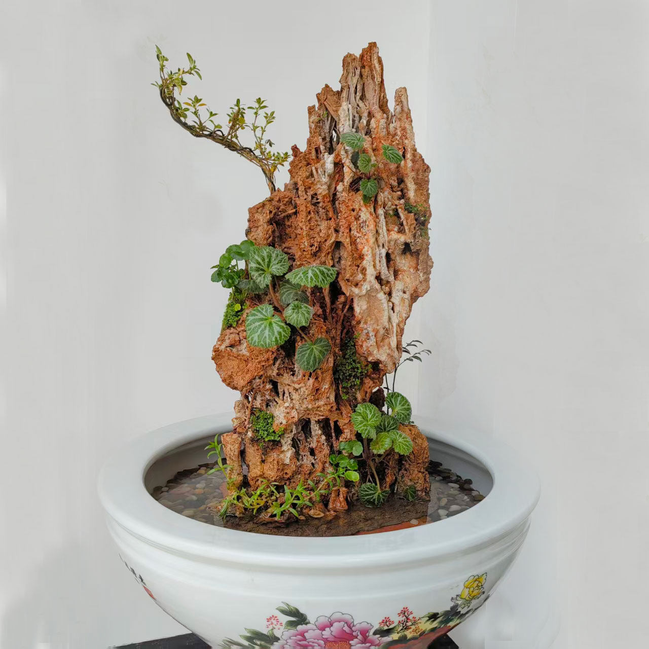 吸水石假山风水石摆件上水石真石头原石家居盆景包邮