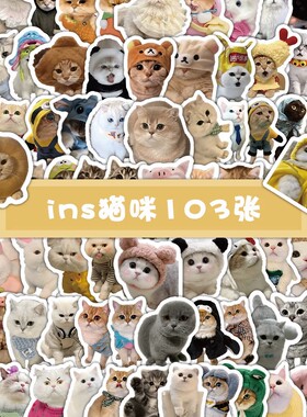 412张可爱ins猫咪贴纸呆萌动物表情包儿童玩具贴装饰桌面防水贴画