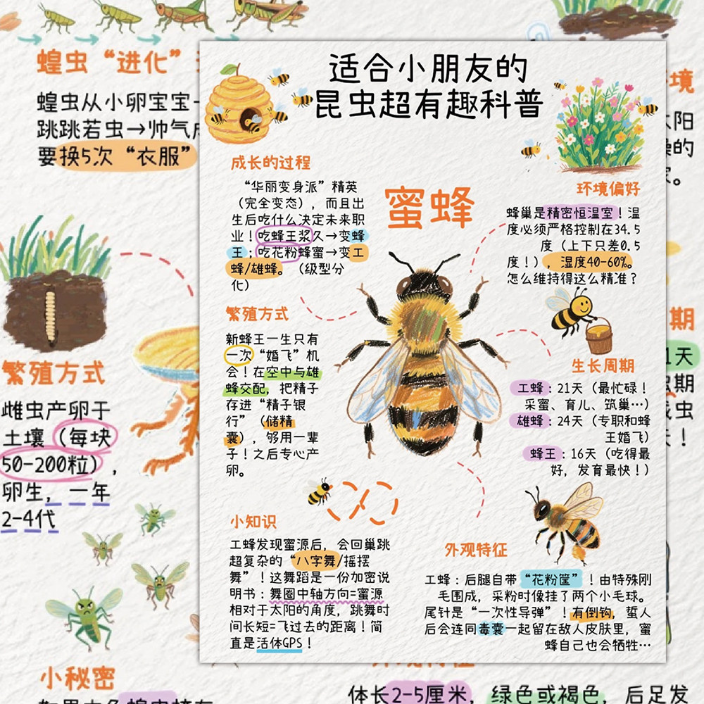 24张给小朋友的昆虫水果作物图鉴贴纸卡通图案儿童科普知识益智贴