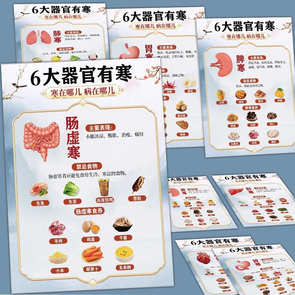 18大张6大器官有寒养生调理贴纸科学饮食一周健康贴画手账diy贴纸