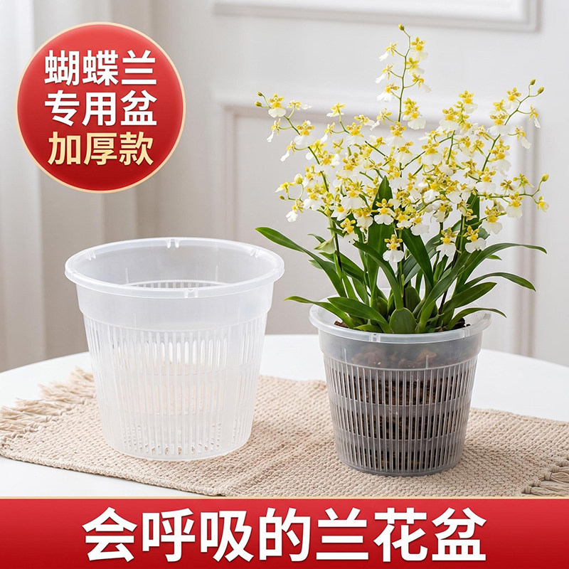蝴蝶兰花盆透明兰花专用塑料花盆控根透气镂空加高定植篮防烂根