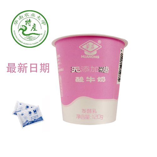 华农特产浓稠益生菌无添加糖酸奶