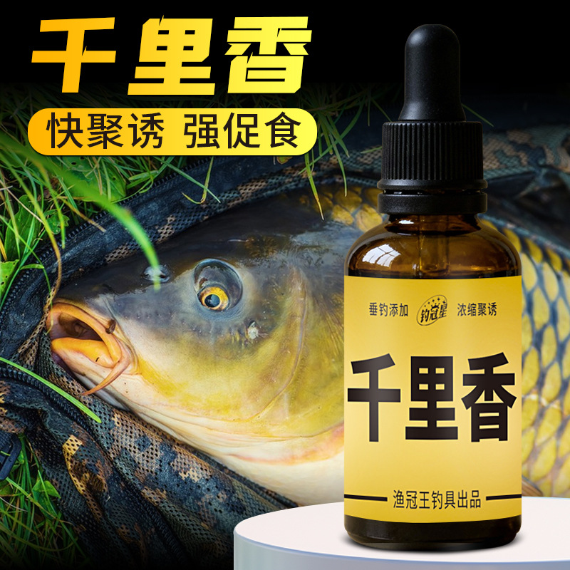 浓缩千里香秋冬钓鱼小药黑坑野钓开口剂诱鱼剂鲫鱼鲤鱼草鱼添加剂