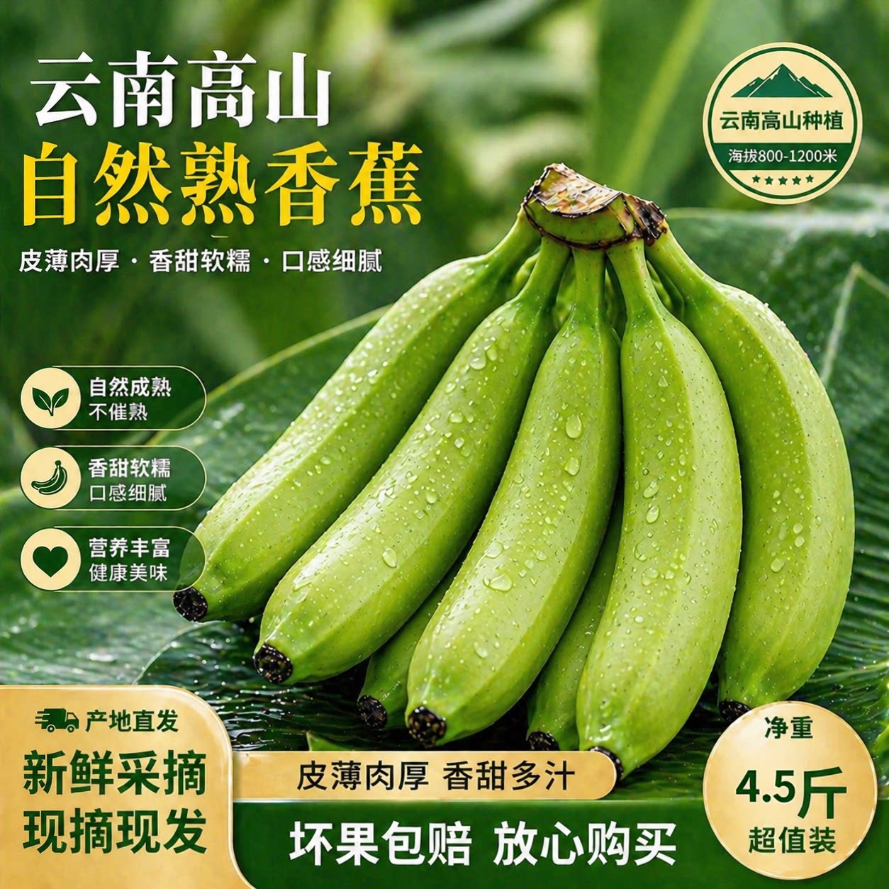 云南高山自然熟香蕉皮薄肉厚