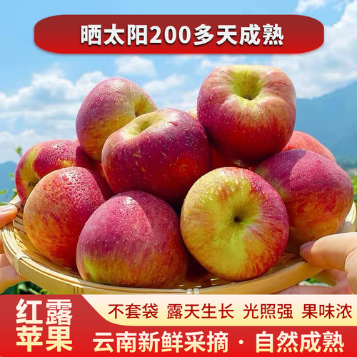 云南高山红露丑苹果脆甜当季