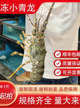 生冻小青龙新鲜速冻肉质鲜美
