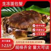 新鲜速冻面包蟹螃蟹速冻水产黄金脚超多膏蟹生鲜帝王蟹黄金蟹