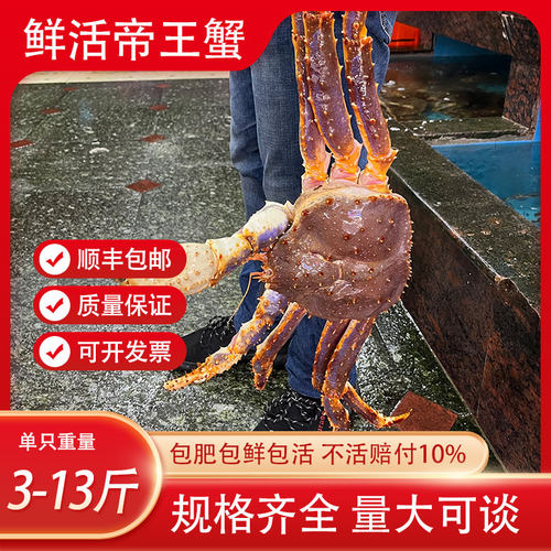 鲜活帝王蟹鲜活发货顺丰包邮
