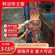 鲜活阿拉斯加帝王蟹超大螃蟹肉蟹长脚蟹活活发货只只生猛大螃蟹