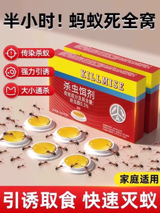 蚂蚁药家用室内全窝端非无毒灭除杀白蚁灭蚁饵剂专用杀虫剂呋虫胺
