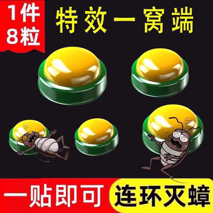 餐厅专用饭店非无毒全窝端灭除绝杀胶饵剂 蟑螂药家用神器一窝正品