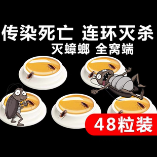 餐厅专用饭店非无毒全窝端灭除绝杀胶饵剂 蟑螂药家用神器一窝正品