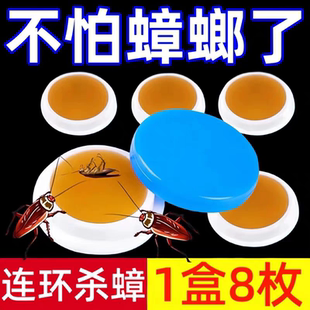 餐厅专用饭店非无毒全窝端灭除绝杀胶饵剂 蟑螂药家用神器一窝正品